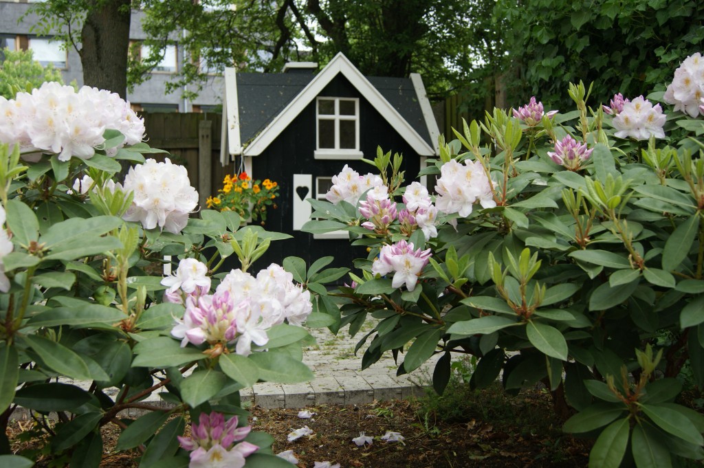 Legehuset set fra rhododendron buskene