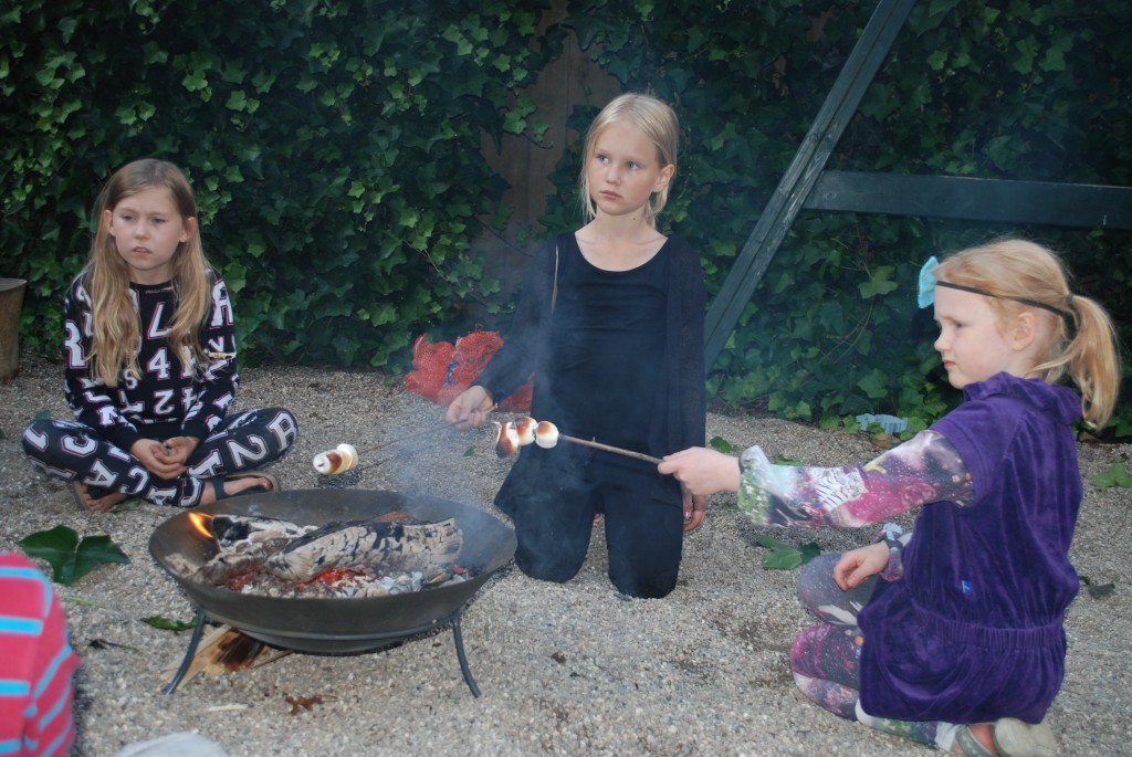 Fejring af Sankt Hans den 23 juni 2014