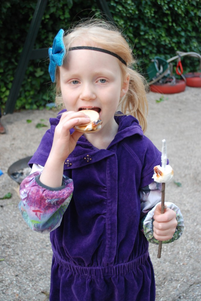 Fejring af Sankt Hans den 23 juni 2014