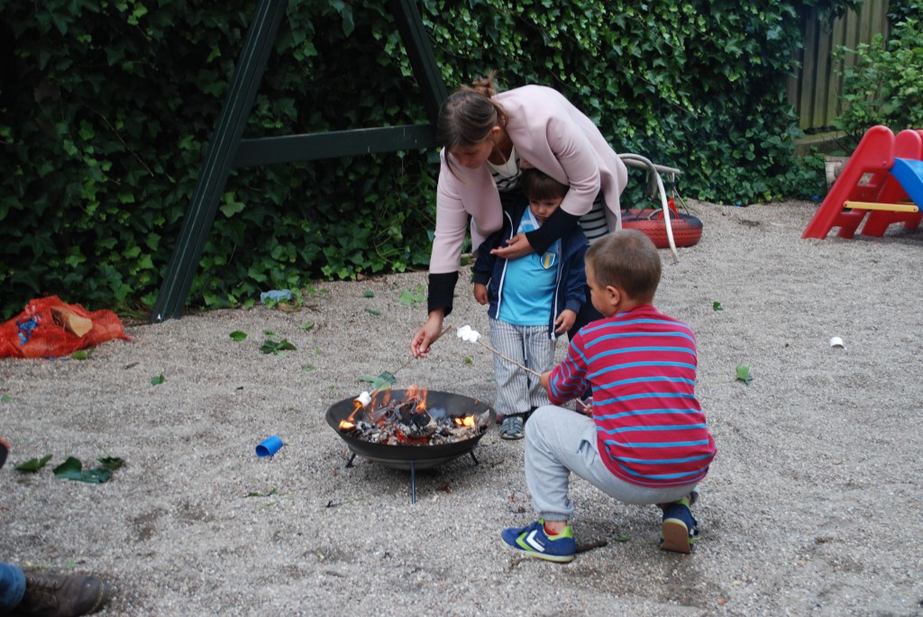 Fejring af Sankt Hans den 23 juni 2014